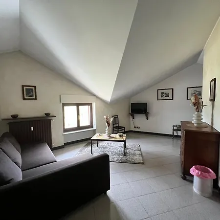 Papavero E Iris